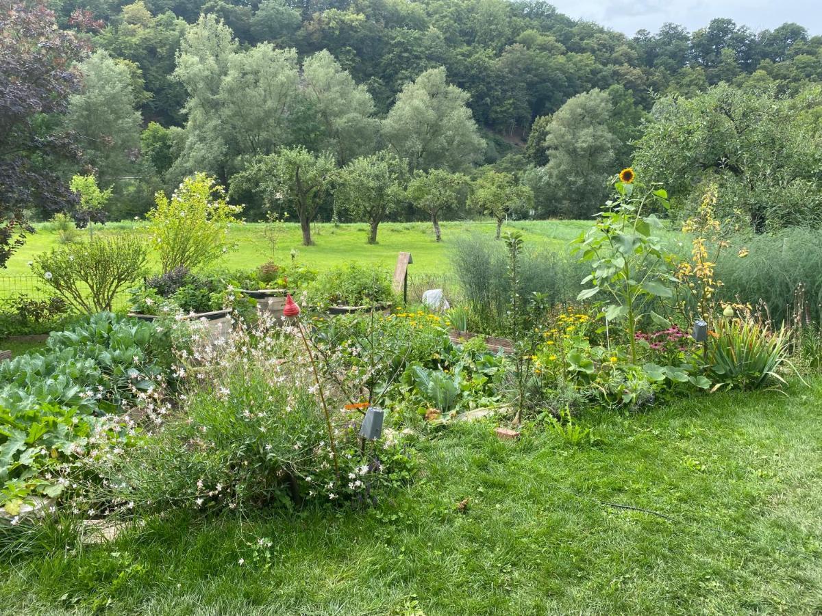 Kleine-Radoase, Ruhiges Oekologisch Renoviertes Doppelzimmer Weilburg Exterior foto